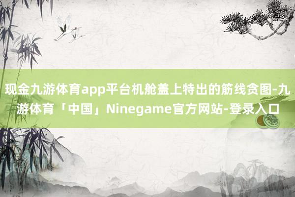 现金九游体育app平台机舱盖上特出的筋线贪图-九游体育「中国」Ninegame官方网站-登录入口